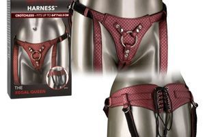 Новая поставка от бренда CalExotics уже доступна к заказам.