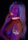 Ошейник с поводком светящийся в темноте Taboom Glow In the Dark Collar and Chain Leash, розовый