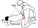 Эрекционное кольцо с 2 моторами Adrien Lastic Gladiator F черное