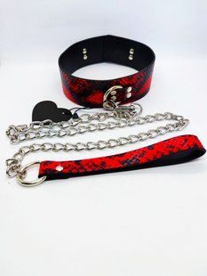 Нашийник з повідцем Collar black/red with leash