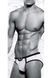 Мужские трусы-брифы Envy Bad Boy белые, S/M