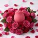 Вакуумный клиторальный стимулятор Chisa Rose Petal (Rose Red)