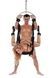 Гойдалки для сексу Whipsmart Bondage Pleasure Swing чорні