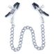 Затискачі на соски DS Fetish Nipple clamps iron L silver 64 g