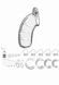Пояс верности ManCage 03 Chastity Cage