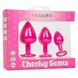 Набор анальных пробок Cheeky Gems 3 размера, розовые