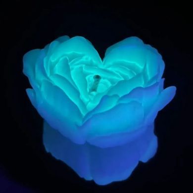 Низкотемпературная БДСМ-свеча в форме розы GlowKink, люминесцентная, L, 62 г, голубая