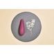 Вакуумний кліторальний стимулятор Womanizer Classic 2 Bordeaux