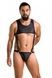 Боди мужское Passion ADAM 056 Black L/XL