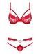 Комплект Obsessive 829-SET-3 SET S/M красный