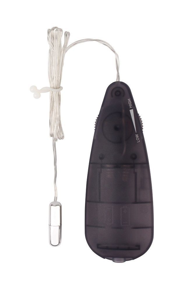 Віброкулька з пультом керування, срібляста, Chisa Hi-Basic Mini Bullet