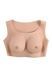 Накладная грудь топ Gender X Undergarments Plate C-Cup, 28 см