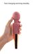 Вібратор-мікрофон Sweet Em Velvet Lurer, 28 режимів вібрації, рожевий із золотом