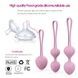 Набір вагінальних кульок Every Night Toys Wendy, 3 шт, бузковий