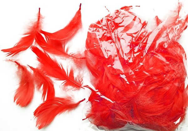 Декоративне пір'я Obsessive "Take me to bed!" bed feathers - Red