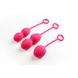 Набір вагінальних кульок Nova Ball-Svakom, рожеві, Рожевий