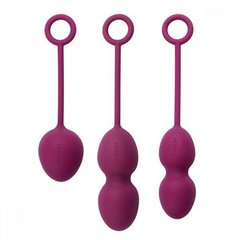 Набор вагинальных шариков Nova Ball — Svakom, фиолетовые