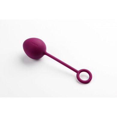 Набір вагінальних кульок Nova Ball-Svakom, фіолетові, Фіолетовий