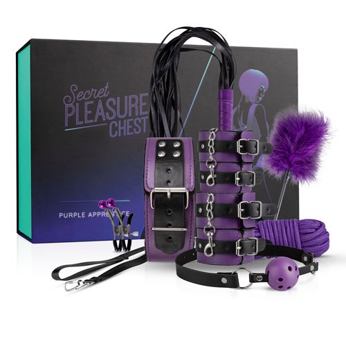 Набір БДСМ Secret Pleasure Chest - Purple Apprentice