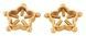 Затискачі на соски Bad Kitty Nipple Jewellery Gol