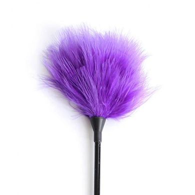 Пірьячко  фіолетове на довгій ручці 40см