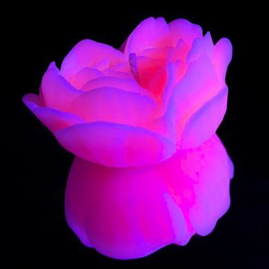Свеча люминисцентная низкотемпературная GlowKink персиковая, М