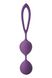 Вагинальные шарики Dream Toys FLIRTS Purple